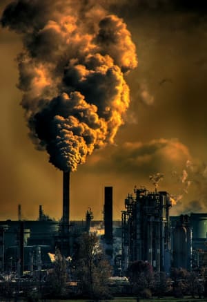 Climate Day
