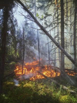On Fire in this Dead Heat: It Is Too Late to Leave