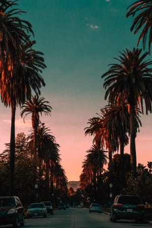 Land of Opportunity