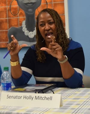 holly mitchell