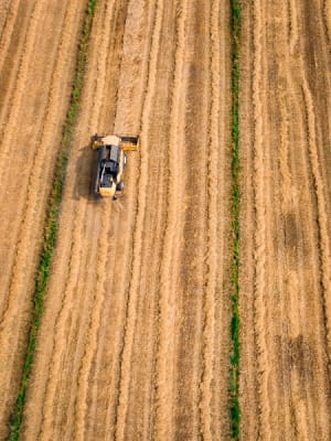 Photo by Kees Streefkerk on Unsplash