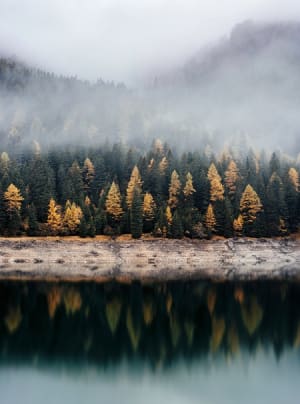 Global Biodiversity Framework