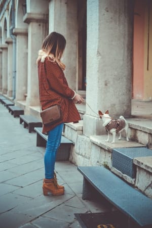 Walk in the Park