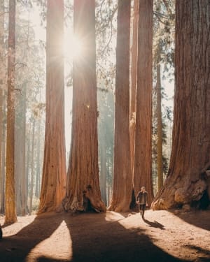 Photo by Dave Herring on Unsplash