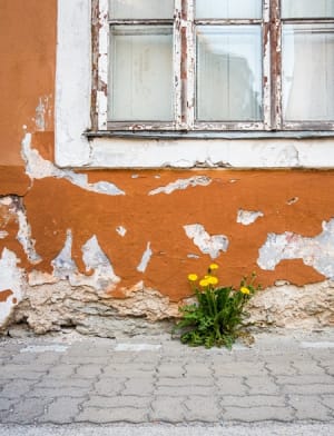 Photo by Nikola Johnny Mirkovic on Unsplash