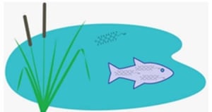 Graphic - Wisconsin Department of Natural Resources Wisconsin is more proactive than Maryland in gathering data on PFAS contamination of surface water and aquatic life. The state has established fish advisories for the substances, unlike Maryland and most other states.