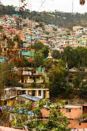 Vultures Circling Haiti