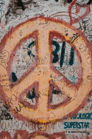 The Antiwar Movement