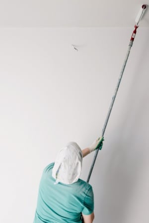 Ceiling Repair