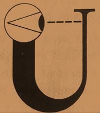Figure 5. The Universe looking at itself through human eyes according to John Wheeler.