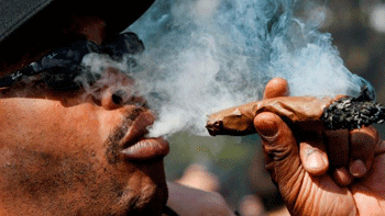 big blunt