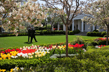 obama rose garden