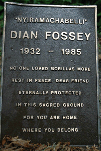 International Primate Protection League Marker On Fossey Grave © G. Nienaber Read more at: https://www.huffingtonpost.com/georgianne-nienaber/did-margaret-atwoods-sain_b_301686.html