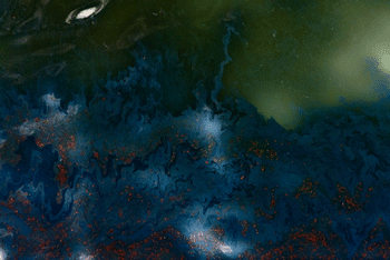 Above and Below: Water and Oil Under and Around the Pier Grand Isle State Park, LA Copyright Nick Zantop