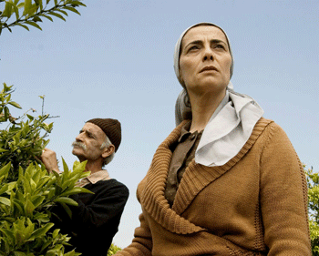 Salma Zidane (Hiam Abbass) stands to lose her family's livelihood in Lemon Tree. Photograph by Eitan Riklis