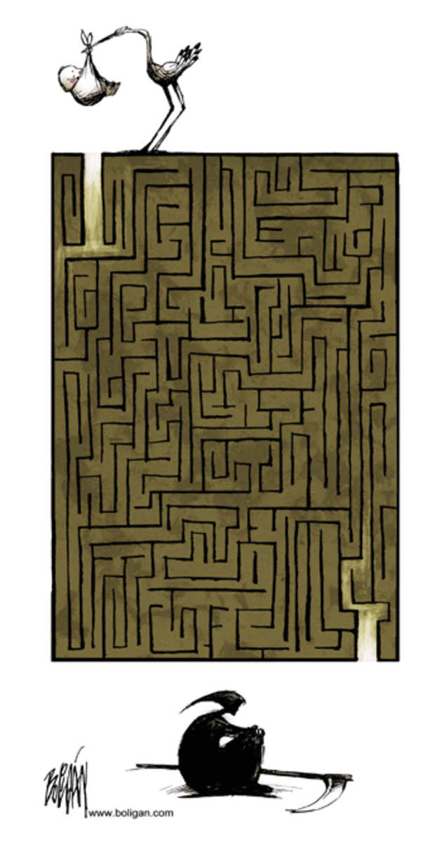 life maze