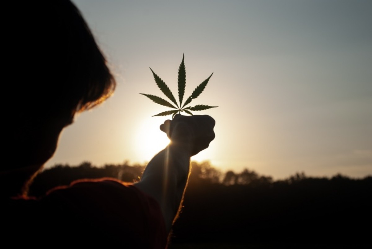 State Legalization of Marijuana in 2021