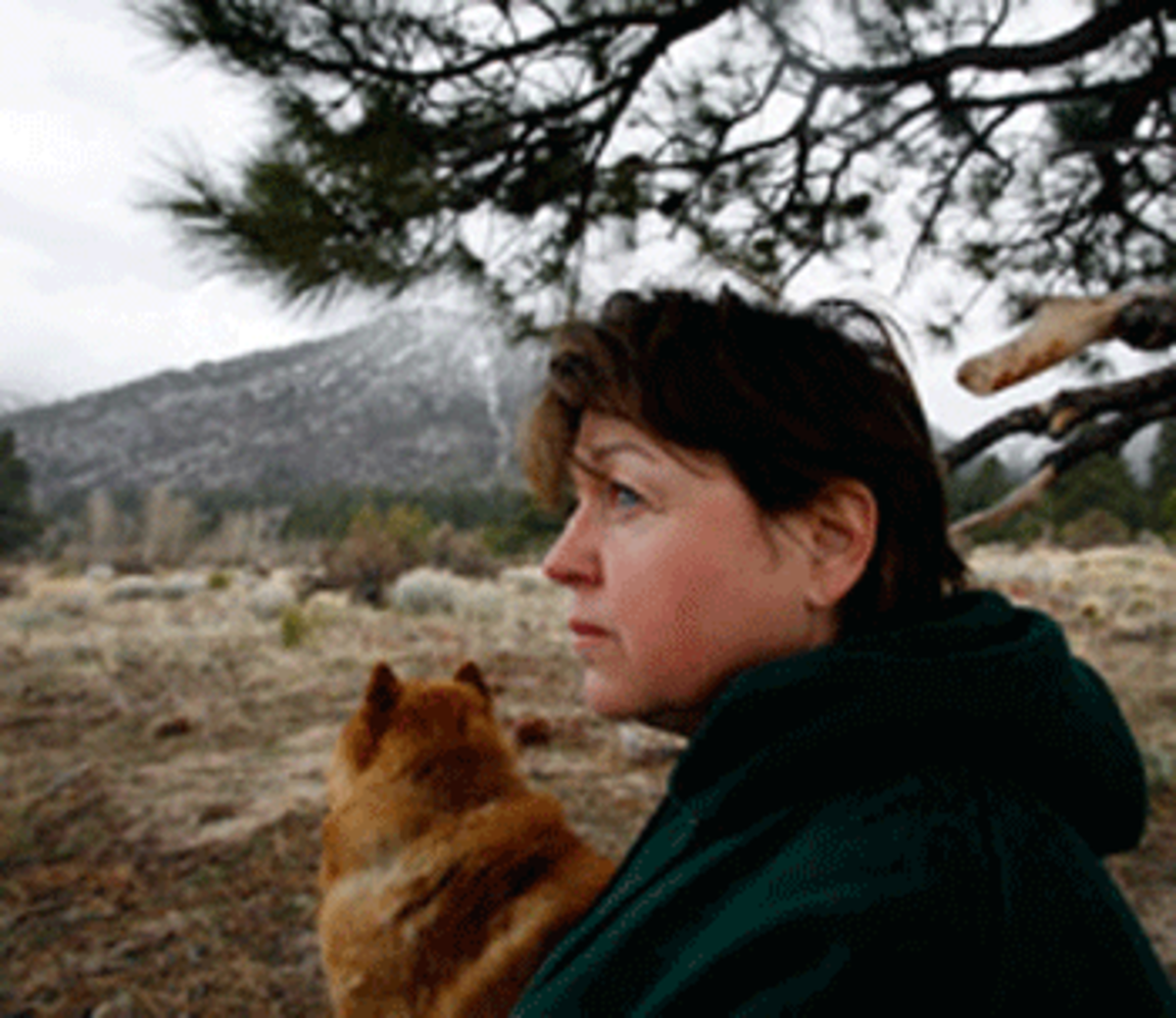 Rita Richardson of Gardnerville, Nev., rests beneath a tree as it begins to snow. She walks to a spot in the mountains near her home where she has shaped a heart in small stones. She feels connected to her late husband Rod Richardson, who was killed in Iraq when his convoy was struck by an IED on Oct. 6, 2006. (Francine Orr/ Los Angeles Times)