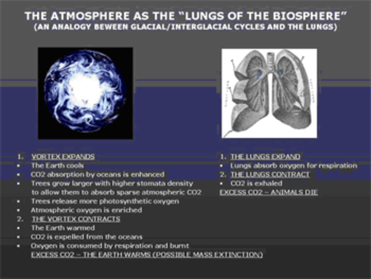 1.  The terrestrial atmosphere as “lungs of the biosphere” – an analogy.