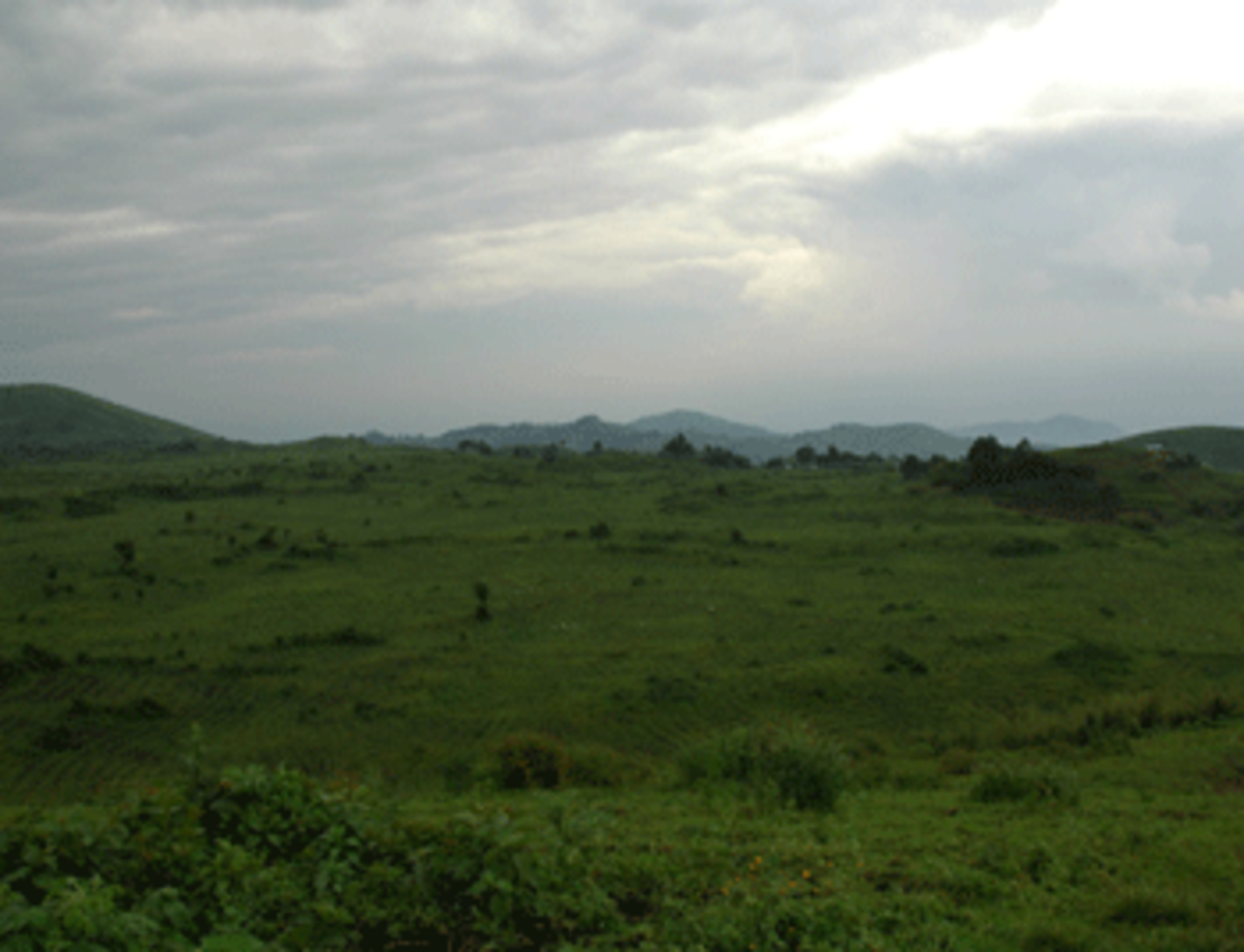 Rebel Territory DRC in 2009 Credit G. Nienaber