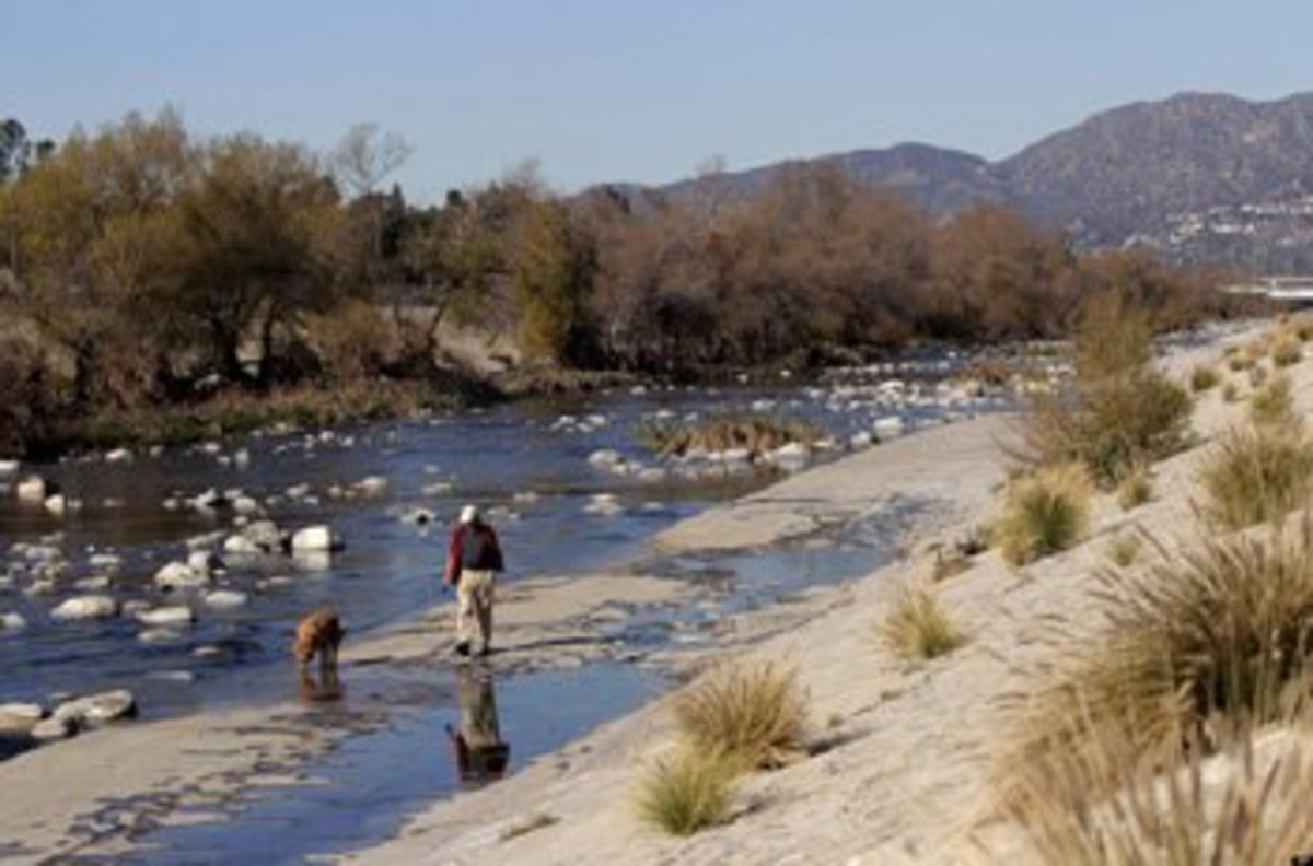 Los Angeles River Restoration