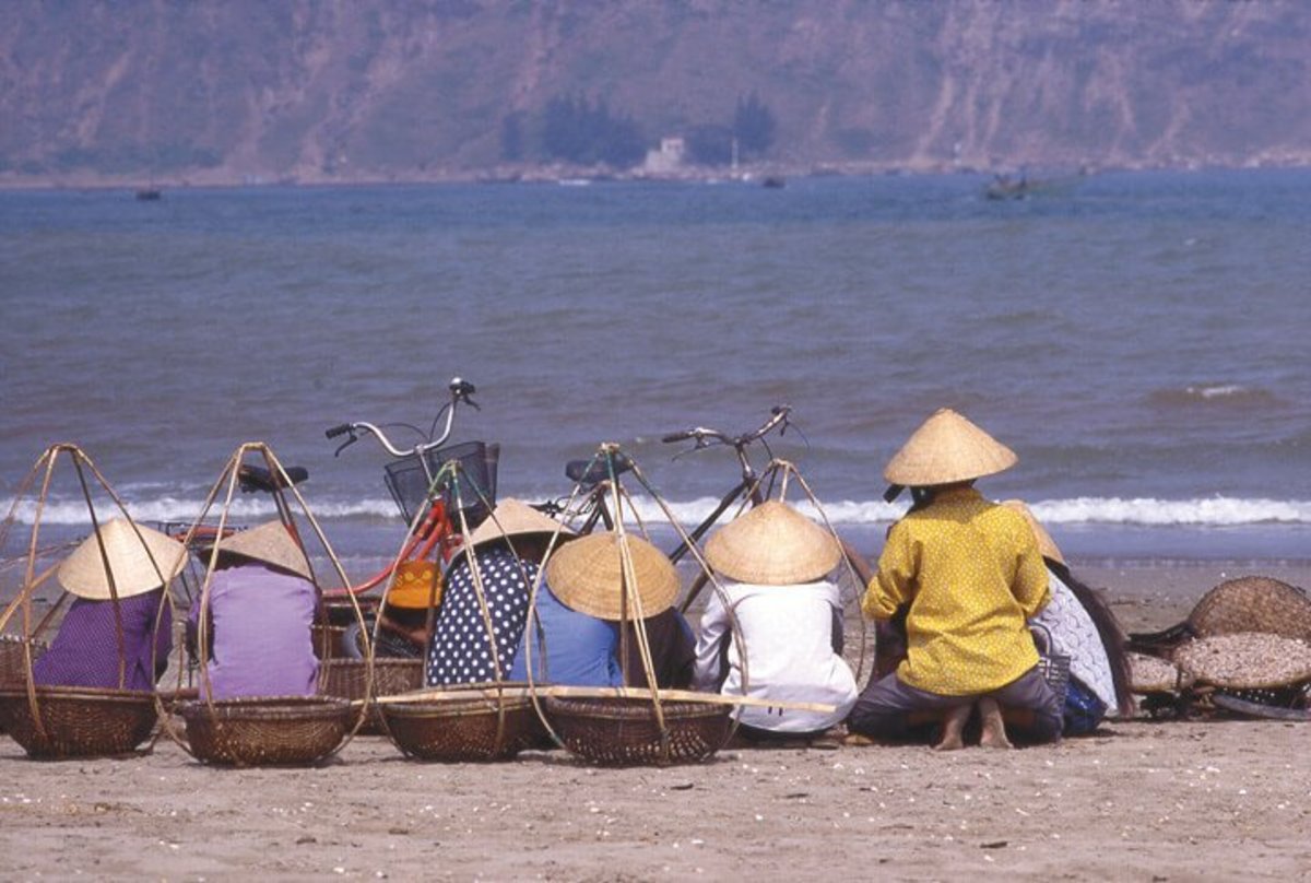 vietnam fallout