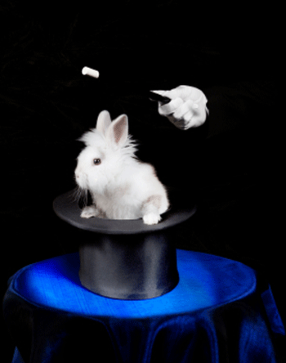 Making E Verify Mandatory Will Not Magically Solve Immigration Woes making-e-verify-mandatory-will-not-magically-solve-immigration-woes