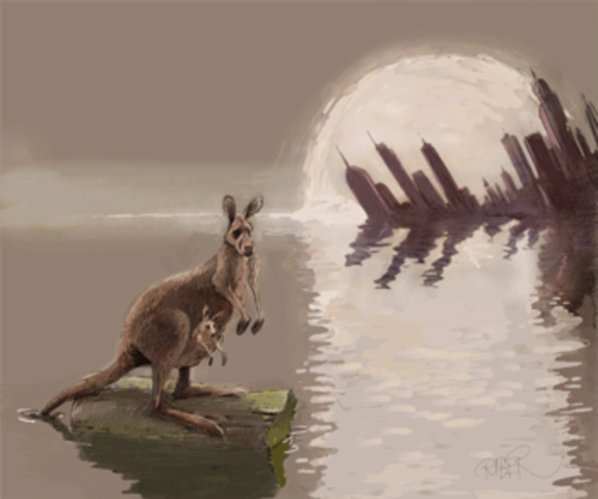 kangaroo court