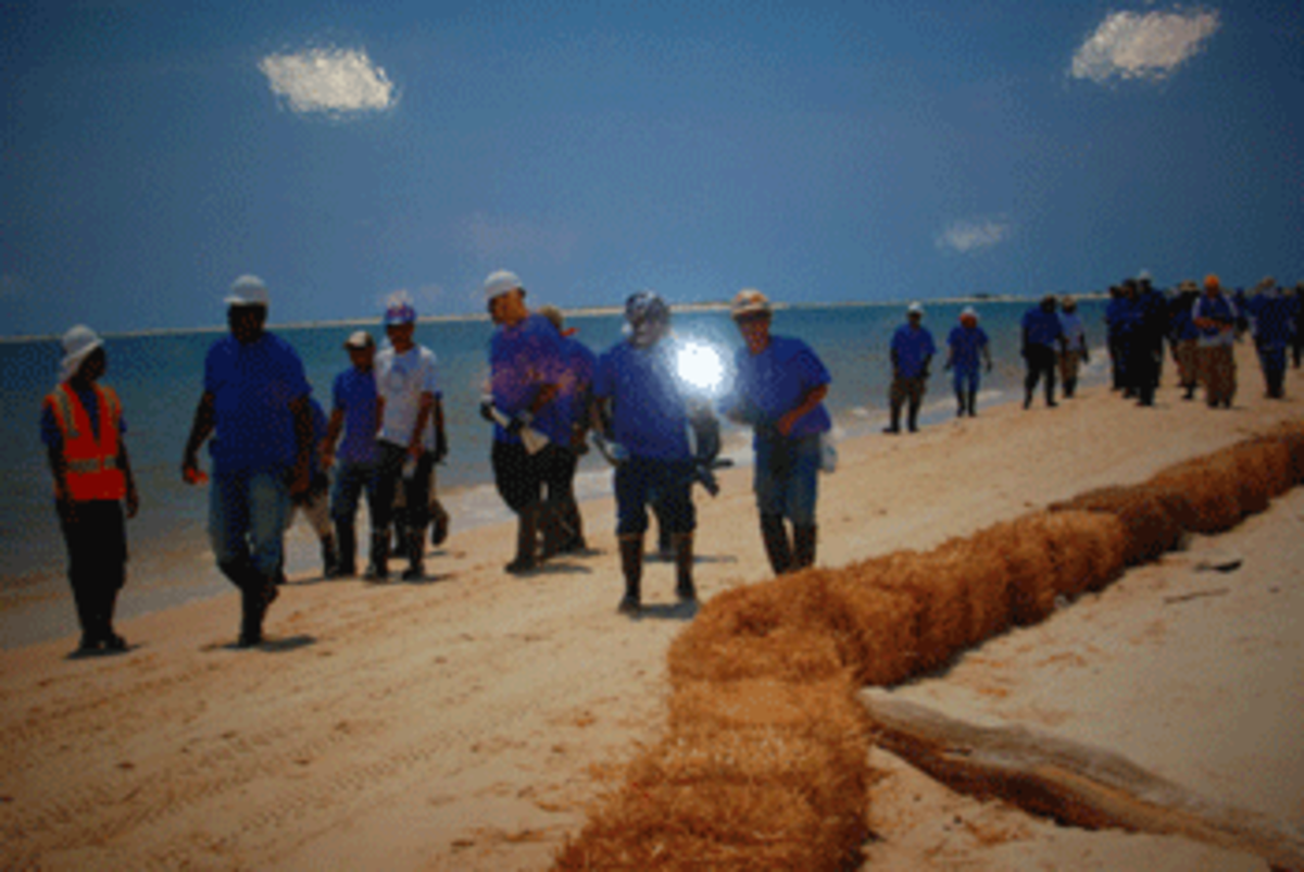 Image BP presented to Houma community regarding beach clean-up