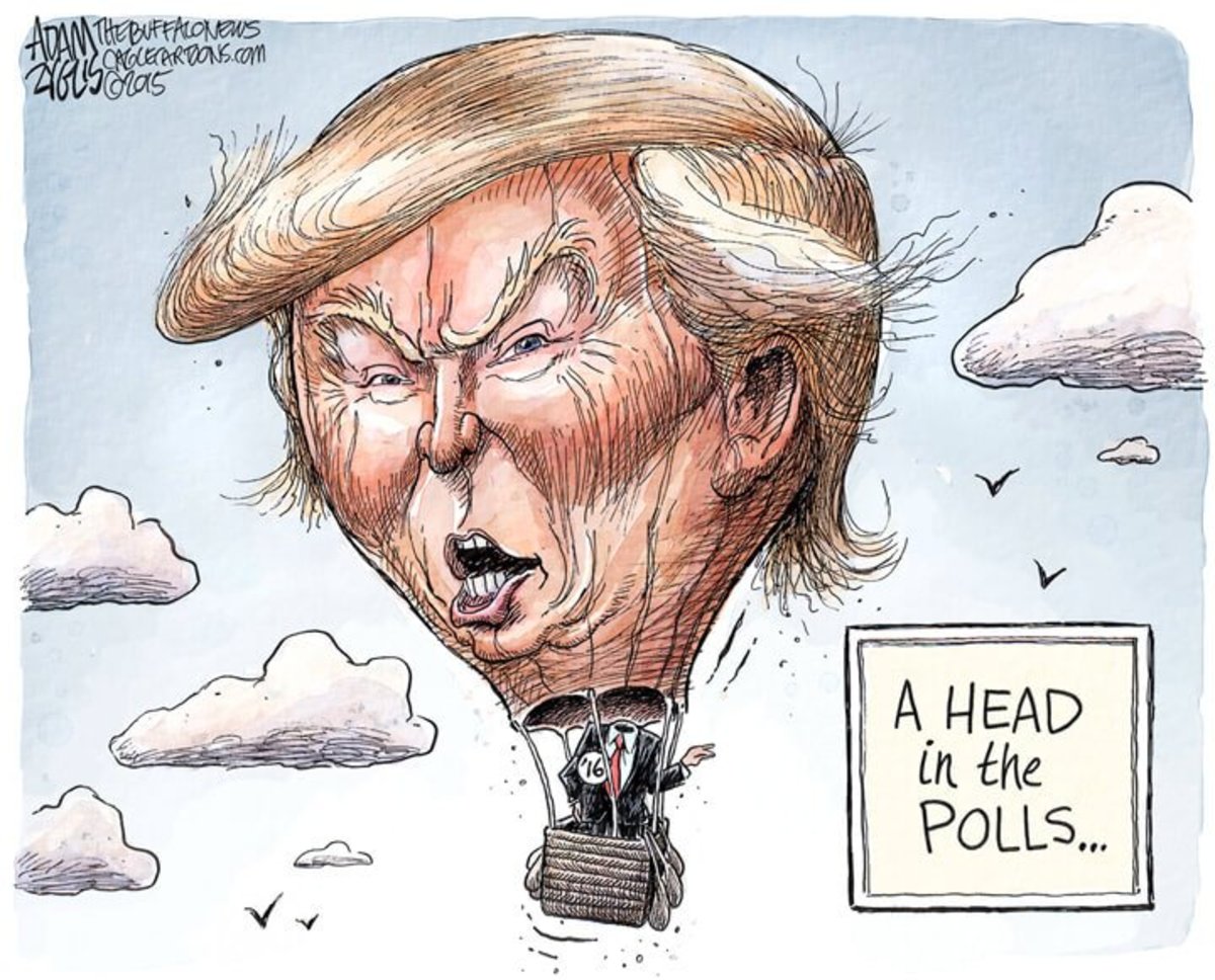 Donald Trump Buffoon