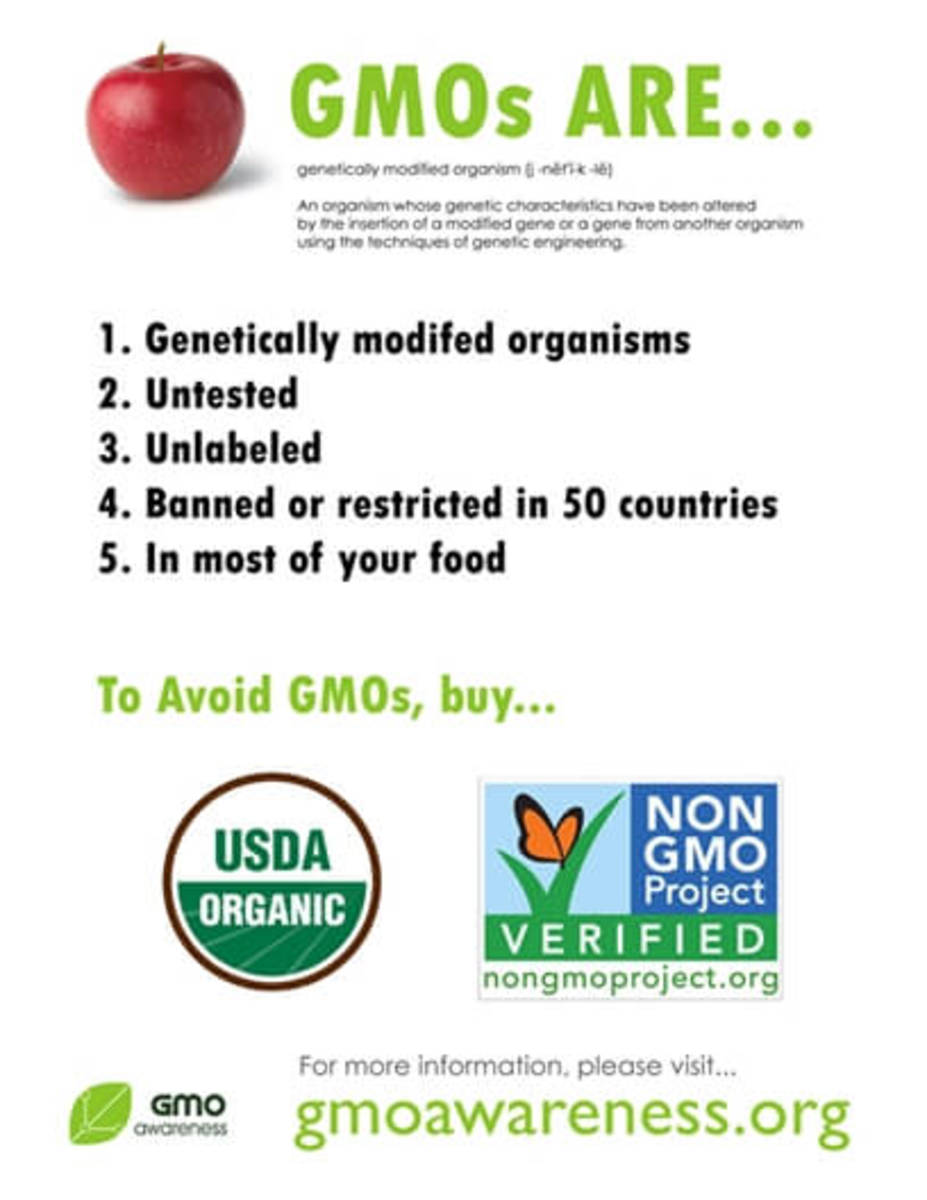 GMO Food3