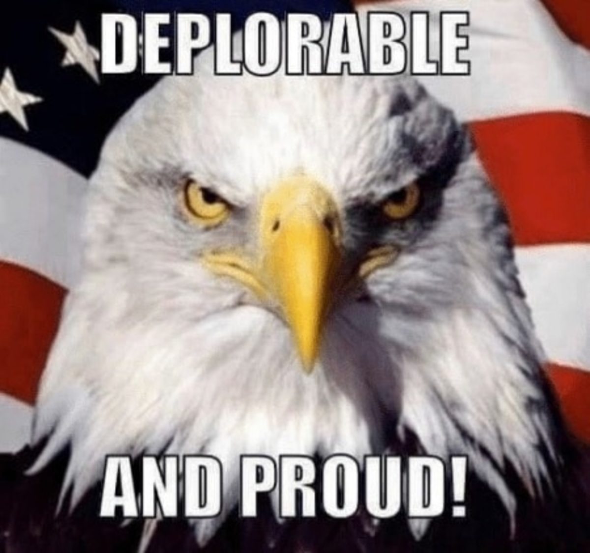 deplorable and proud 450