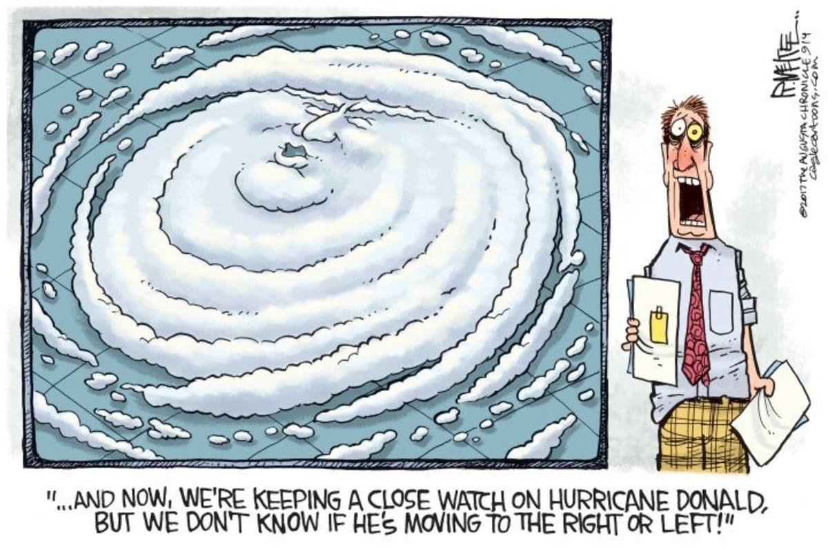 Hurricane Donald
