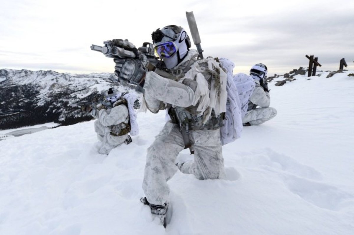 Arctic Warfare