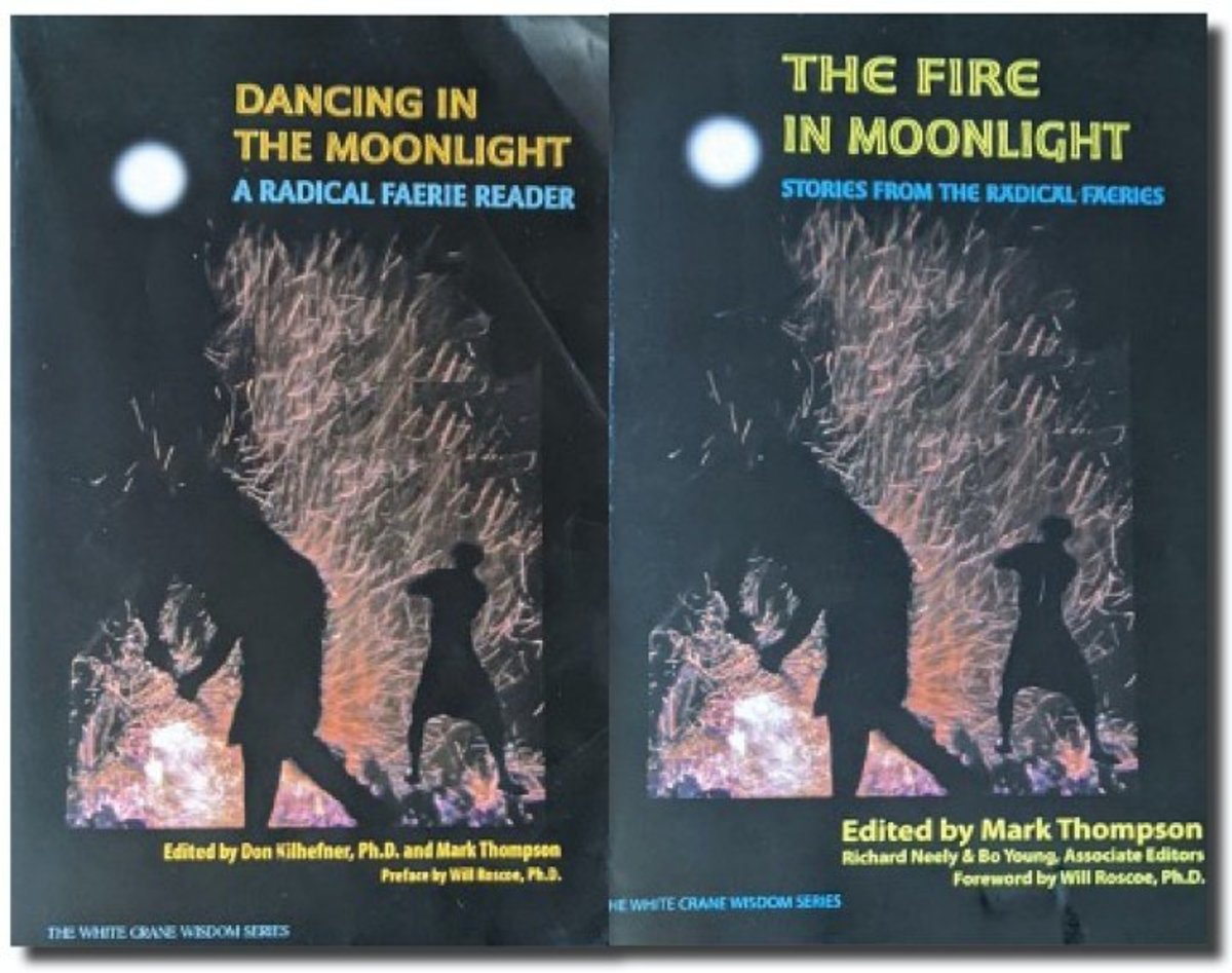 Cover of original book (left) and stolen book (right)