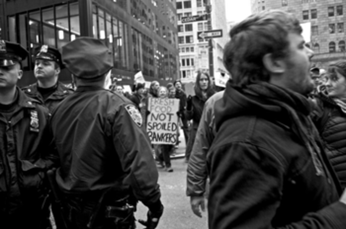 occupy movement