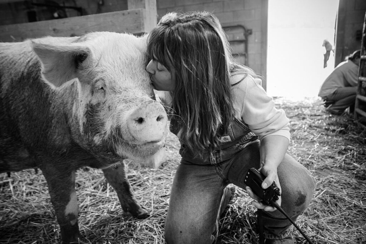 Susie Coston, national shelter director of Farm Sanctuary, the largest farm animal rescue organization in the United States, spends time with a rescued pig. Pigs are intelligent, emotional and cognitively complex, yet they are treated as mere objects in our broken and inhumane food system. (Photo credit: Jo-Anne McArthur/WeAnimals)