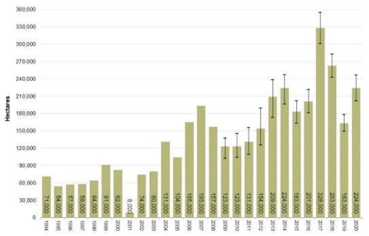 Opium poppy cultivation in Afghanistan, 1994-2020 (hectares)