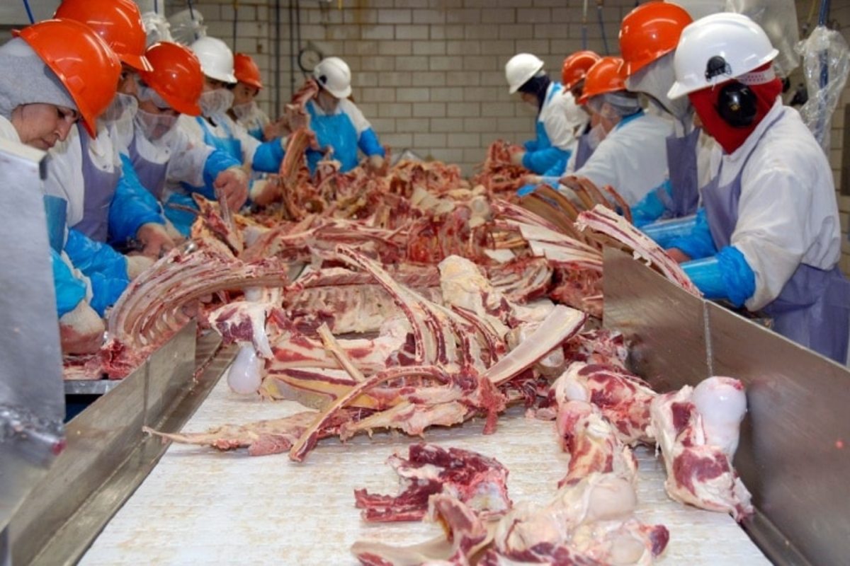 Smithfield pork processing assembly line