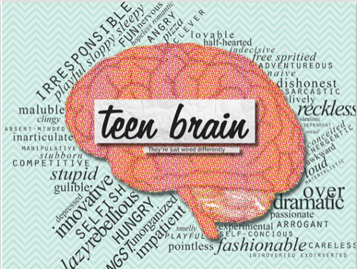 teen brain