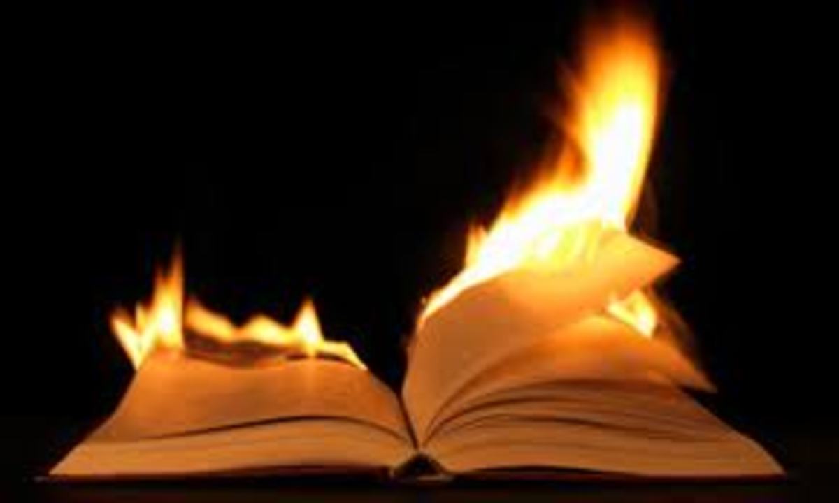 Book Burning Quran Koran