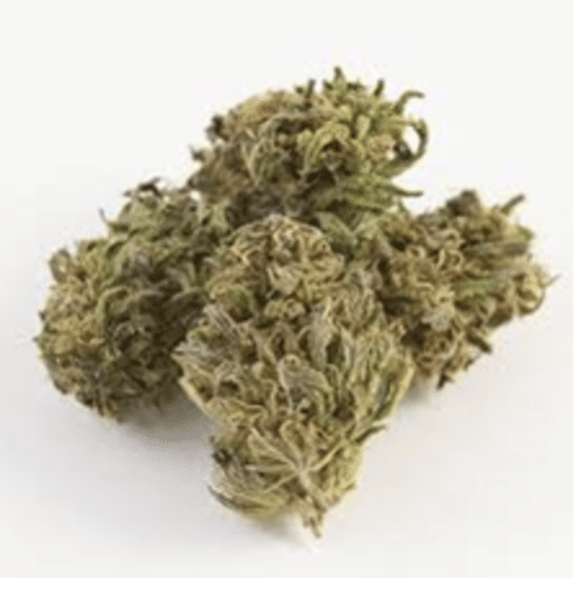 The Top Hemp Flower Strains in 2020 LA Progressive