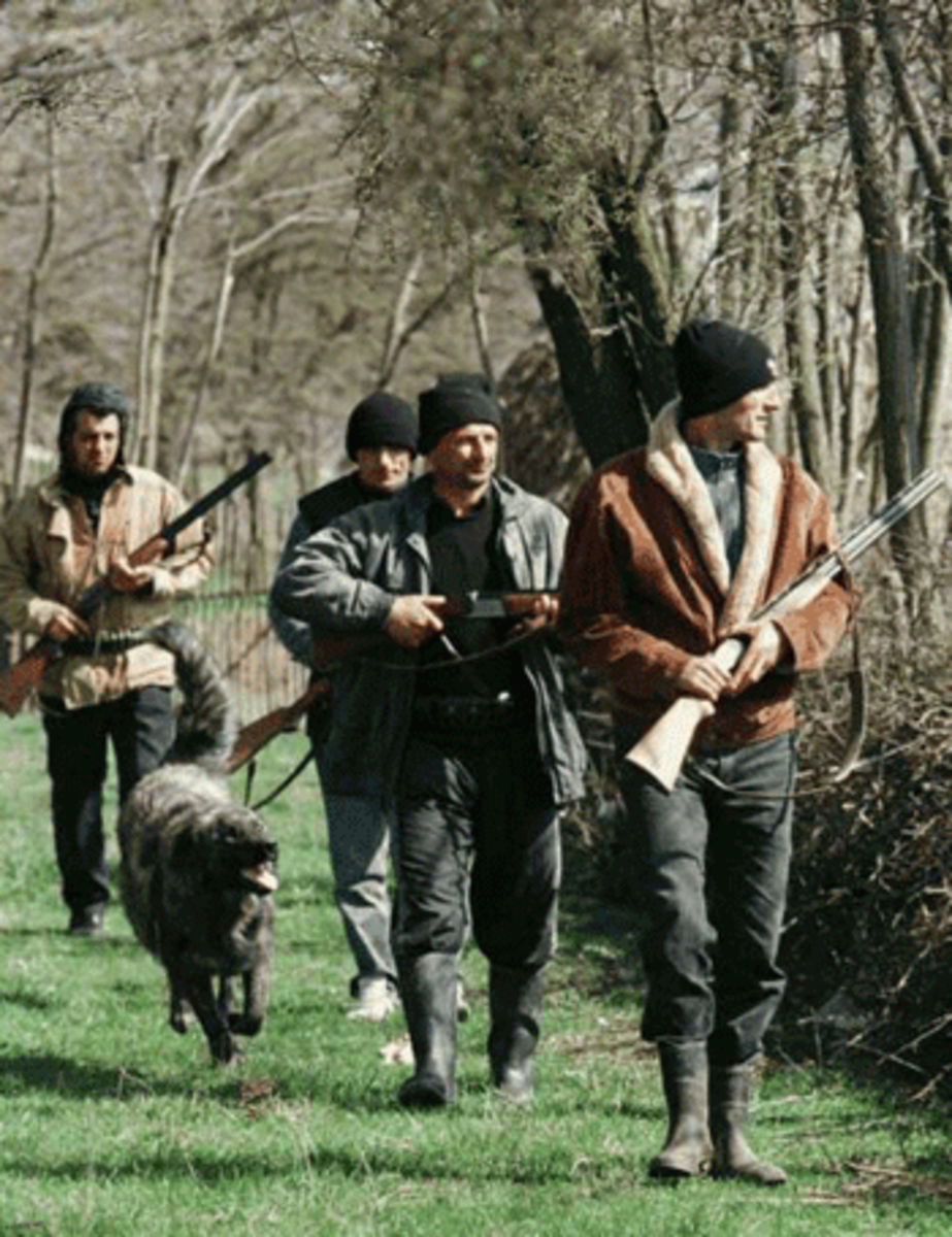 serbian-militia