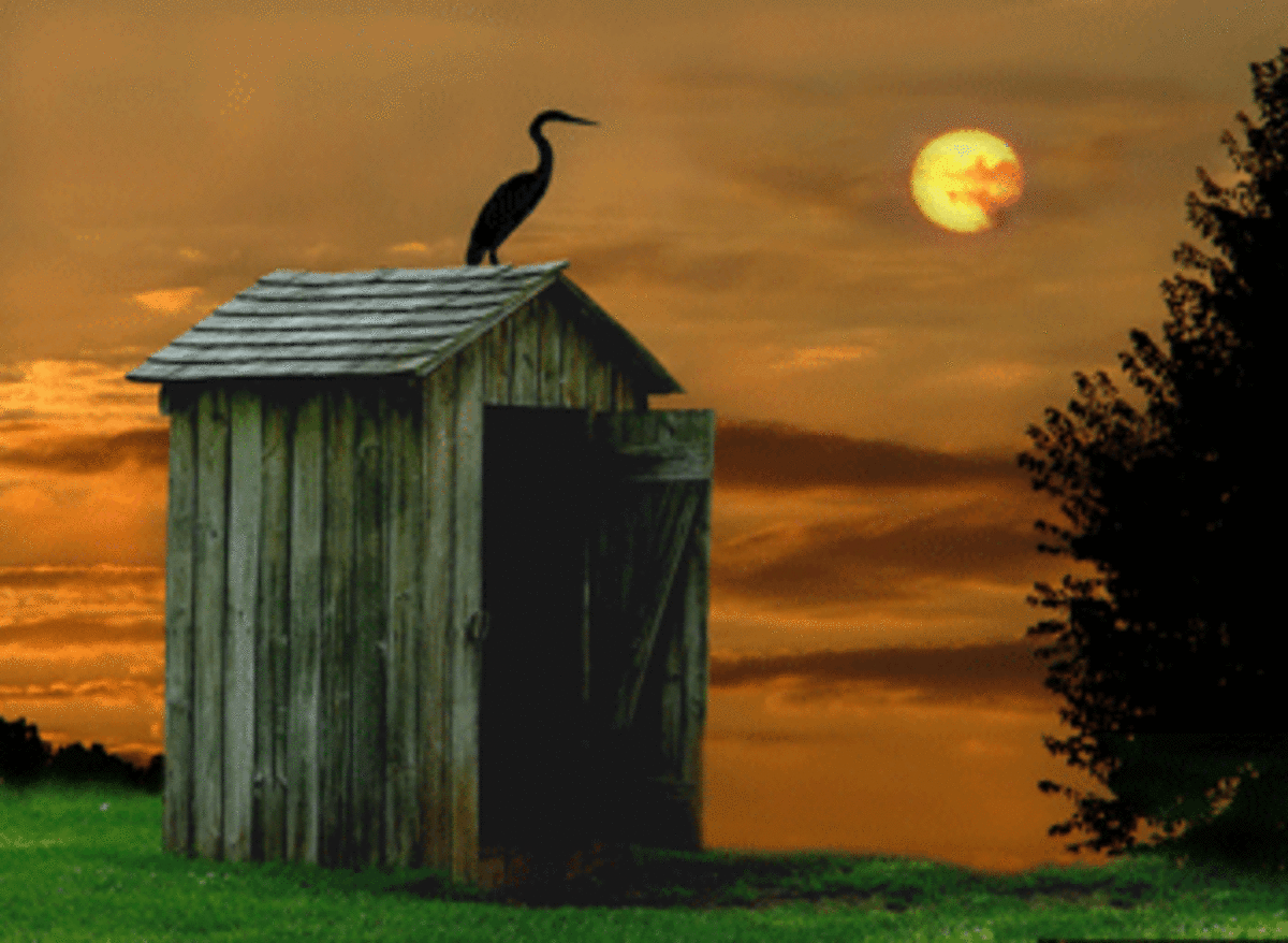 moonlight outhouse