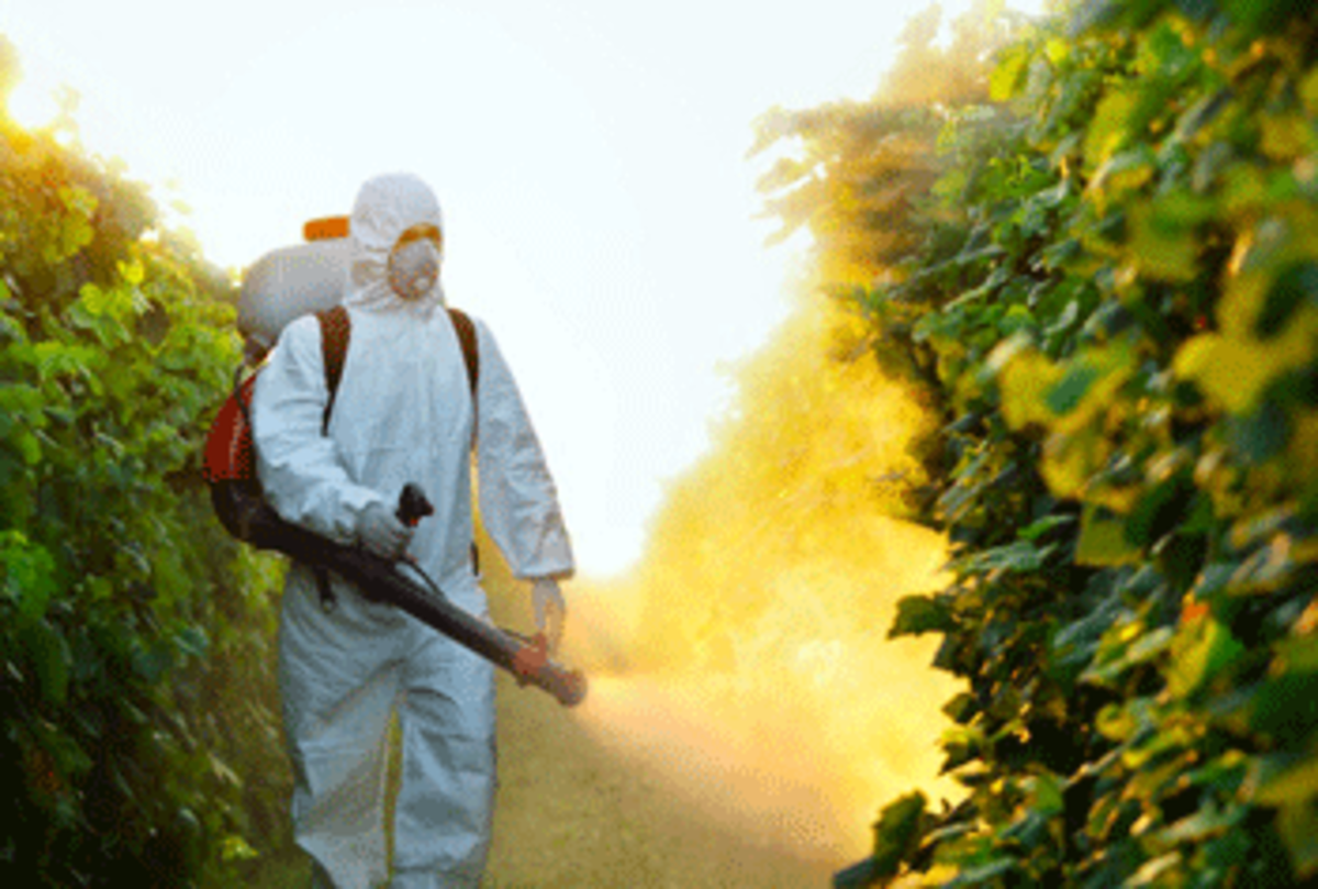 organic-pesticide-350