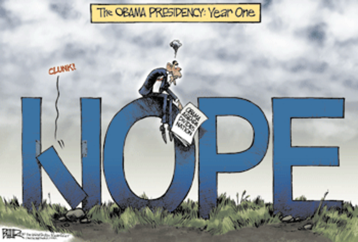 Obama Year One