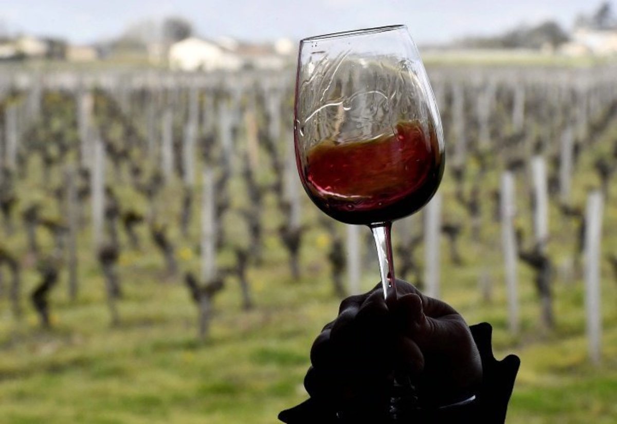 Sustainable Wine