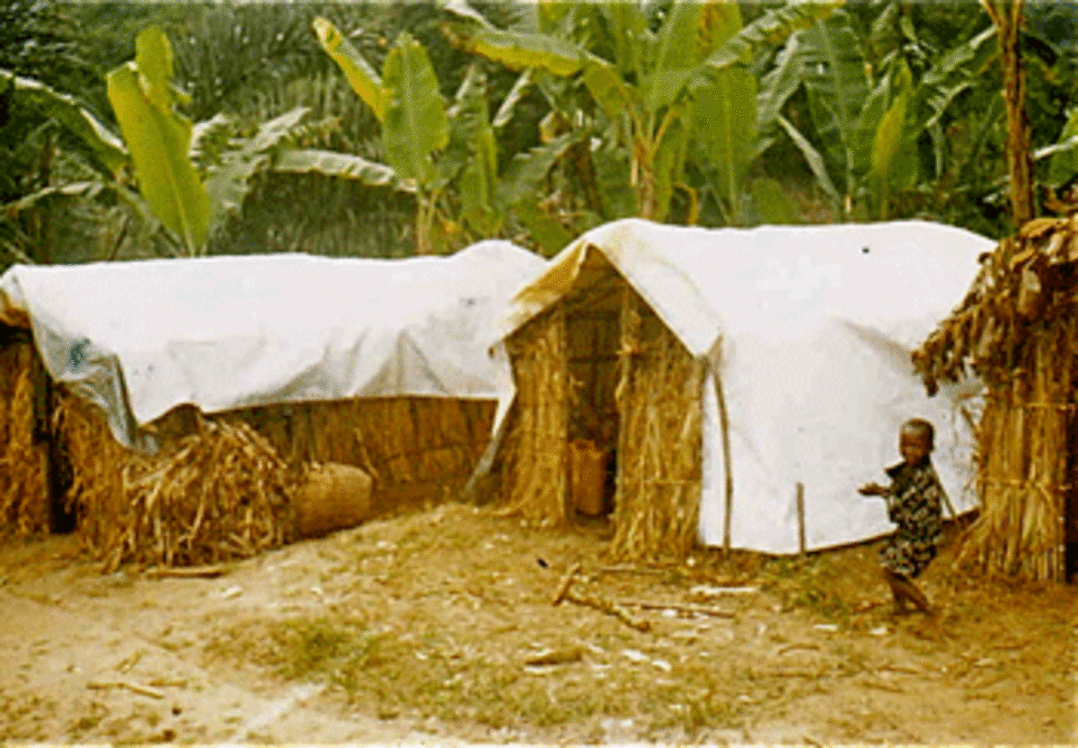 congo huts