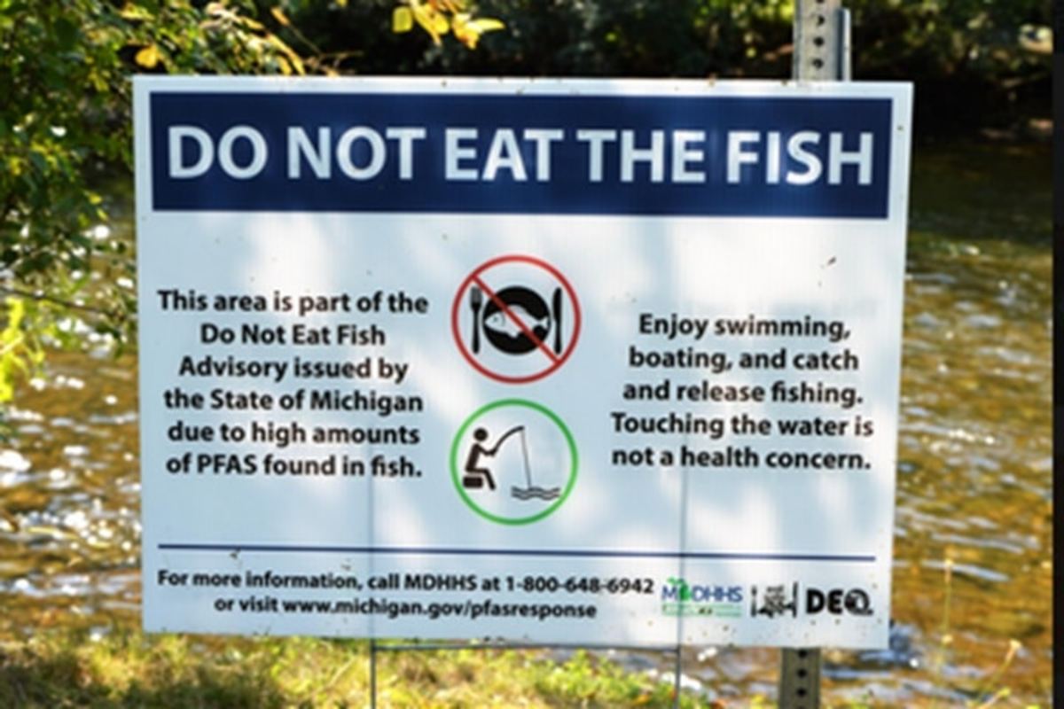Do Not Eat the Fish - LA Progressive