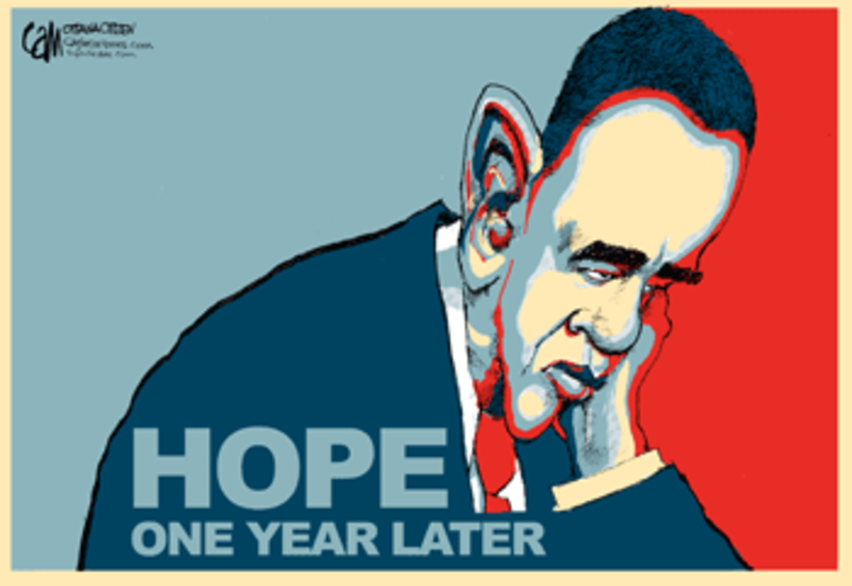 Obama One Year Later